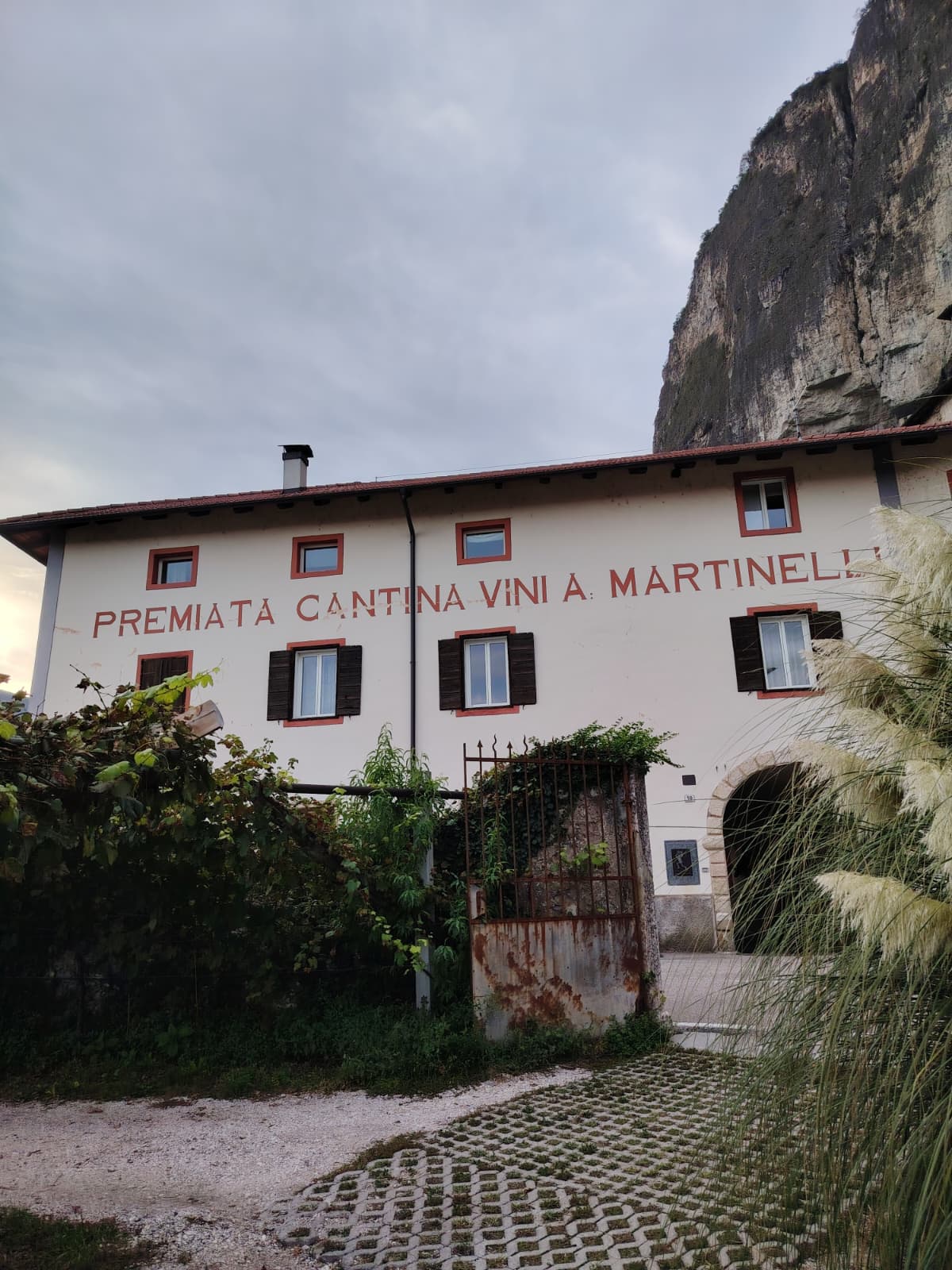 Cantina Martinelli: Visita