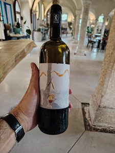 Cantina A. Martinelli - Orangemonte