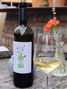 Cantina A. Martinelli - Biancomonte